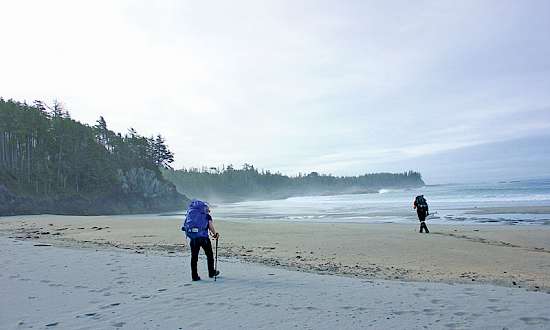 Hiking Nootka Island - Bears, Wolves and Whales